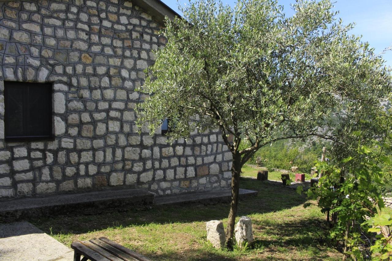 Rent House Orahovo Villa Virpazar Bagian luar foto